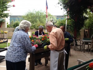 Gardening